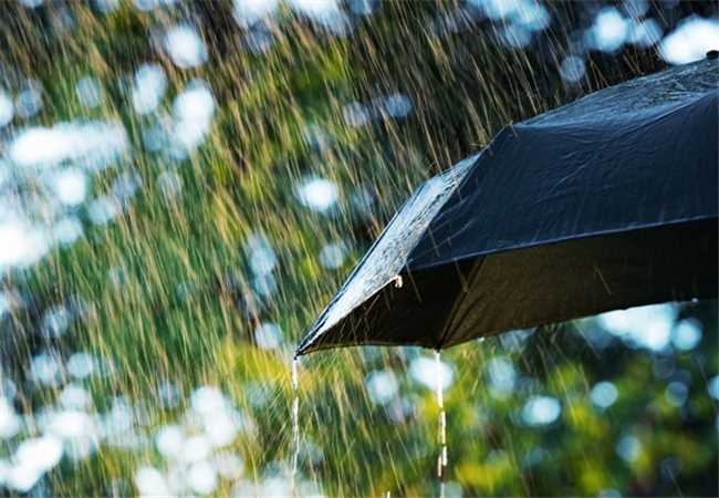 Alerta de chuvas para os dias 10 e 11 de novembro: Defesa Civil prevê até 76 mm de precipitação